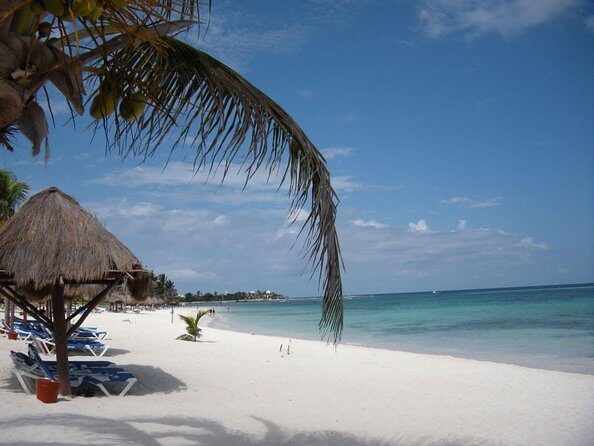 Snorkeling with Turtles and Cenote Tour from Riviera Maya - Quick Takeaways Before You Go