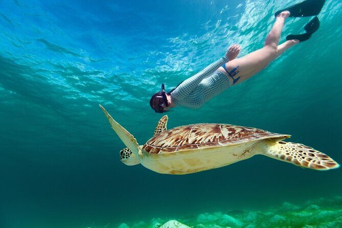 Snorkeling with Turtles and Cenotes - Akumal Snorkeling: How Turtle Viewing Is Designed for Success