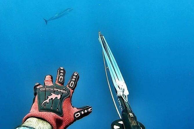 Spearfishing Playa del Carmen or Tulum - Best fit: who should book (and who should think twice)