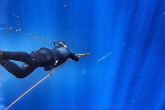 Spearfishing Playa del Carmen or Tulum - Quick practical tips so your day feels smoother