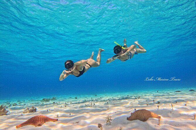 Star and Turtle Sanctuary Snorkeling Tour in Cozumel - Boat Ride Reality: Speed, Comfort, and How to Plan for Bumpy Seas
