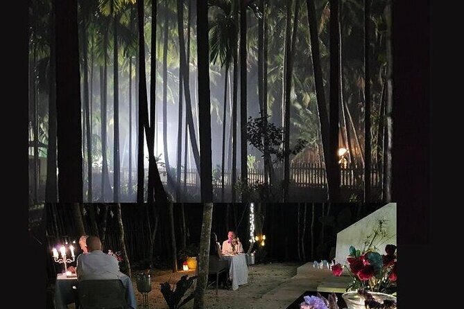 Steak or Lobster dinner in a magical jungle setting. - Key points to know before you go