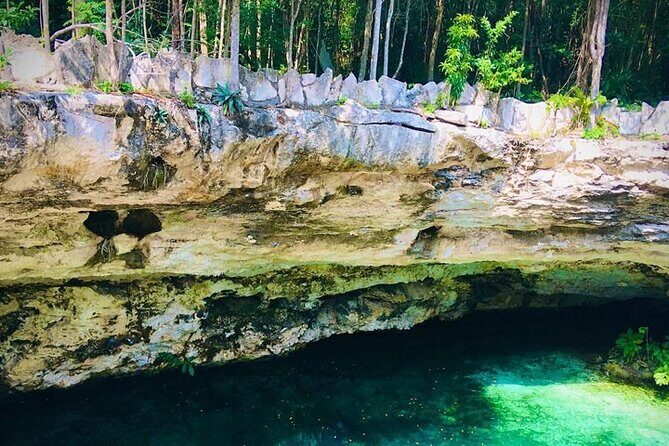 Swim in 4 different Cenotes in Casa Tortuga Park - Four Cenotes, One Park: The real shape of the day