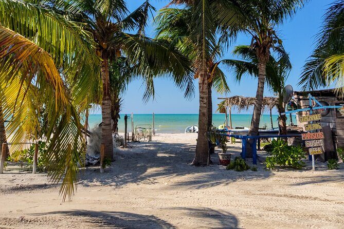 The best of Holbox from Tulum - Yalahau Lagoon: Where the Water Time Actually Feels Worth It