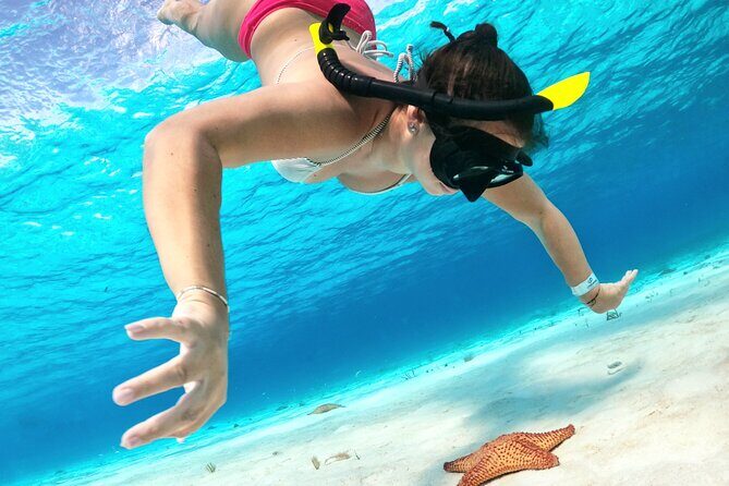 The Cozumel Turtle Sanctuary Snorkel Tour - Cozumel Turtle Sanctuary: a smart half-day plan