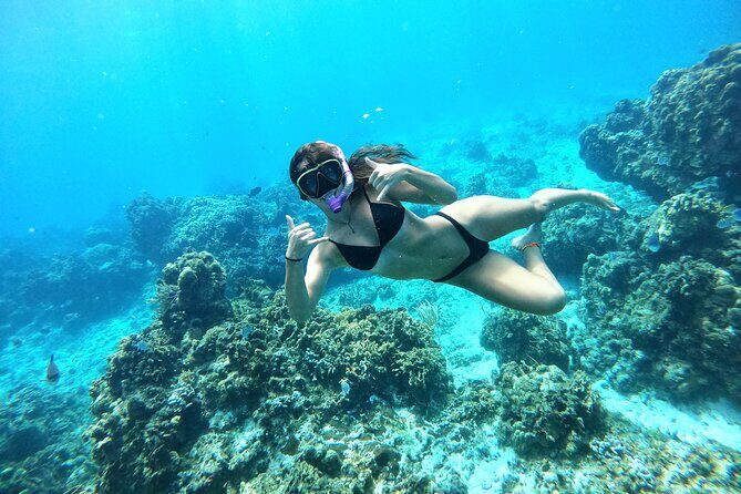 The Cozumel Turtle Sanctuary Snorkel Tour - Turtle Sanctuary time: real habitat with real rules