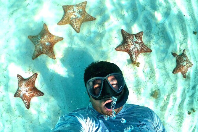 The Cozumel Turtle Sanctuary Snorkel Tour - Guides, safety, and the teaching moment