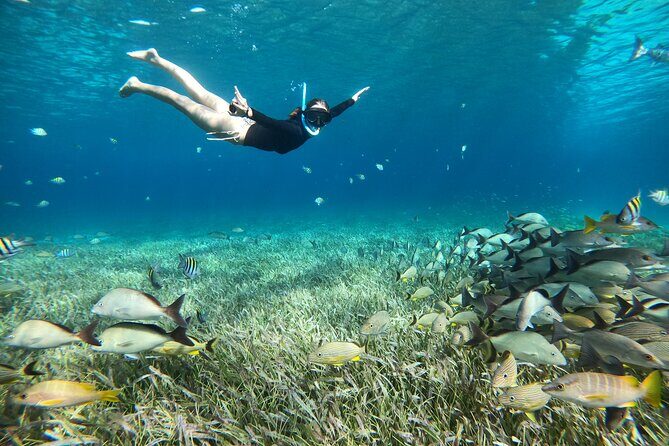 The Cozumel Turtle Sanctuary Snorkel Tour - Snacks and drinks on the water: the best kind of break