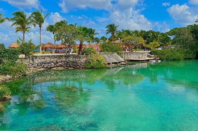 The Perfect Day in Chankanaab Park Cozumel - The 5-Hour Timeline That Fits Cruise Days (and Shore Breaks)