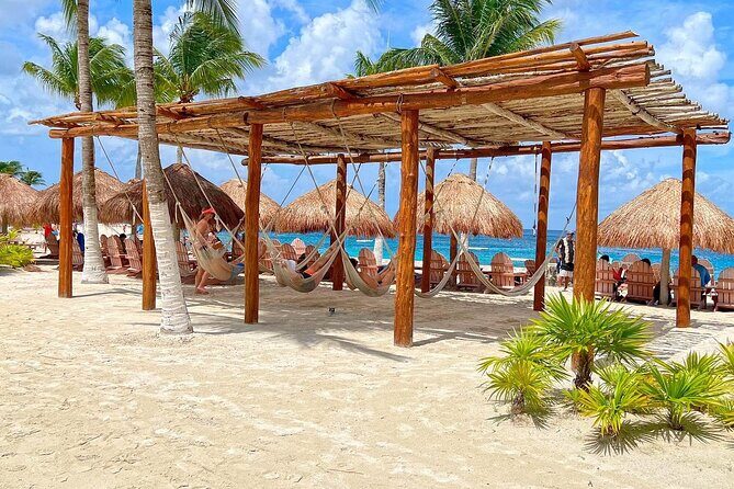 The Perfect Day in Chankanaab Park Cozumel - Getting There: Royal Village as Your Starting Point