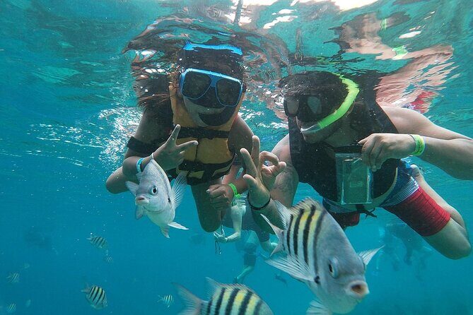 The Perfect Day in Chankanaab Park Cozumel - Beyond the Reef: Mayan Site, Gardens, and Real Park Comfort