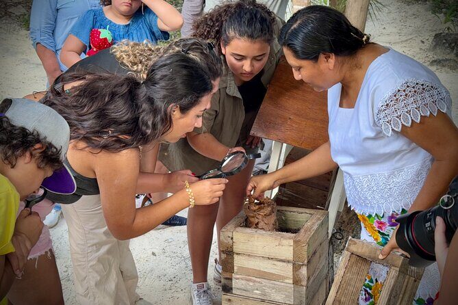 Tierra Maya – Sanctuary of Living Mayan Traditions - Zikil Paak Salsa and Tortilla Press: Real Kitchen Skills, Short and Sweet