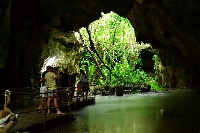 Tortugas & Cenotes Snorkel With Turtles Tour - Cenotes: underground river time and what to expect under the surface