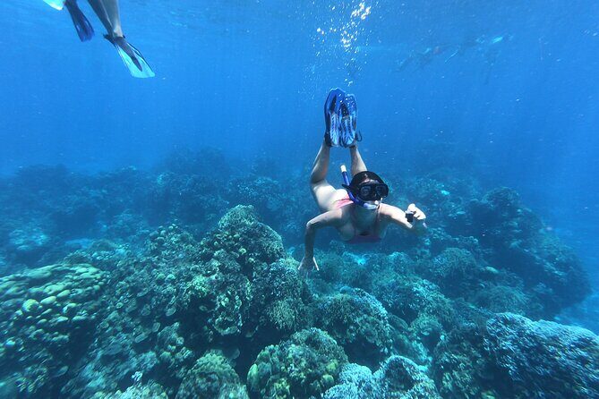 Tour Cozumel Island + Snorkel + Beach + Buggy + Lunch - Starting at Muelle Cozumel: Get Your Day on Track Fast