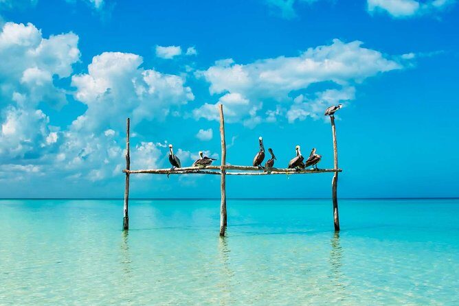 Tour Holbox - Two Island & Cenote from Cancun & Playa Del Carmen - Stop 2: Holbox Island lunch, photos, and Pasión Island walking time