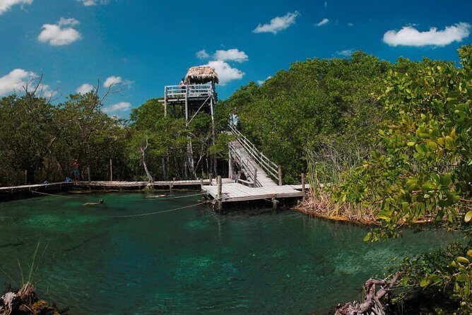 Tour Holbox - Two Island & Cenote from Cancun & Playa Del Carmen - Stop 3: Isla de la Pasión / Isla Pájaros sandbars and bird time