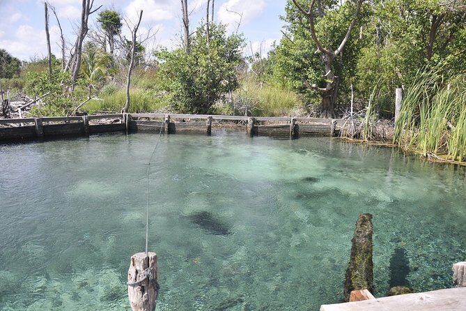 Tour Holbox - Two Island & Cenote from Cancun & Playa Del Carmen - Food and drinks: what’s included and what you still need to plan for
