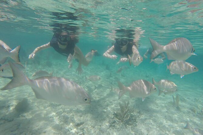 Tour in Buggy Cedral History Snorkeling and Lunch in Cozumel - Timing, Meeting Point, and Group Size That Feels Manageable
