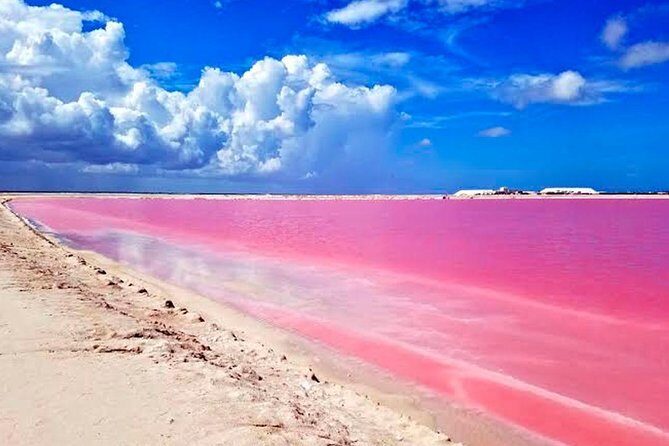 Tour Las Coloradas & Rio Lagartos only from Tulum - Las Coloradas Pink Lake: salt water color, clay fun, and photo-worthy light