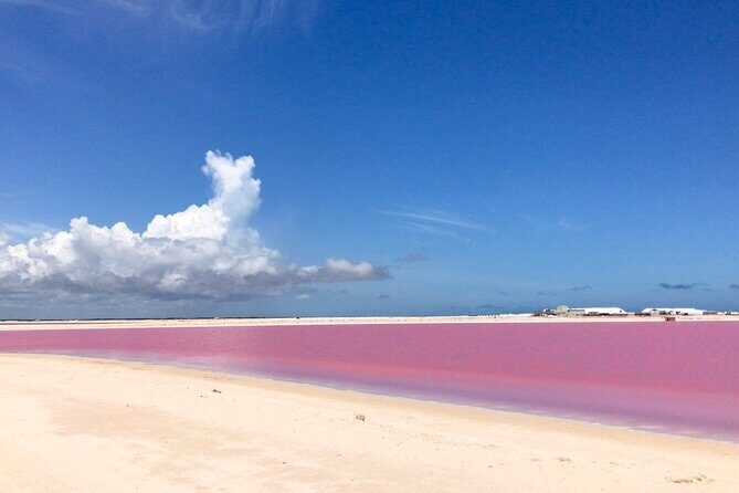 Tour Las Coloradas & Rio Lagartos only from Tulum - How organized is it, really? The guide and the group dynamic