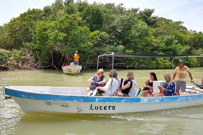 Tour Las Coloradas & Rio Lagartos only from Tulum - Who this tour suits best (and who should skip it)
