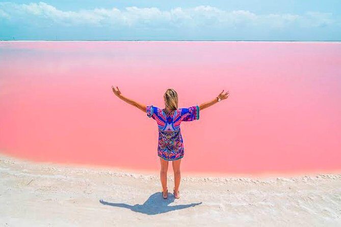 Tour Las Coloradas & Rio Lagartos only from Tulum - Rio Lagartos Biosphere Reserve: mangroves, marshes, and wildlife watching