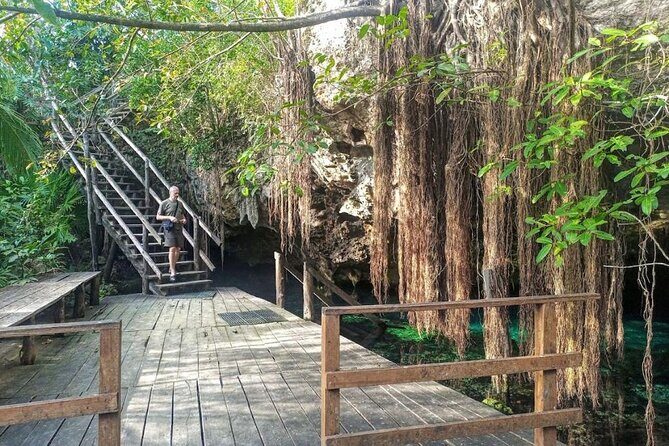 Tour to Cenote Cave and Sea Turtles Encounter - A 6 to 7 Hour Cenote and Turtle Day in Playa del Carmen