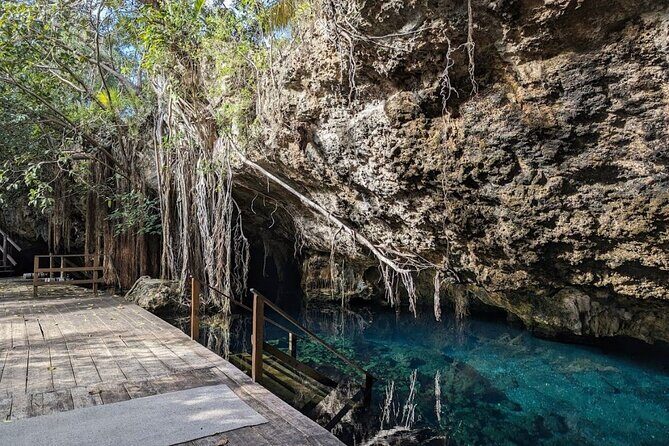 Tour to Cenote Cave and Sea Turtles Encounter - Price and Fees: What the $119.69 Really Means