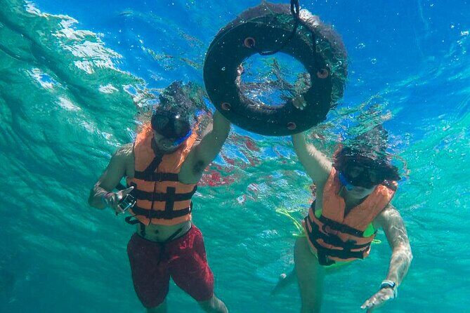 Tour to swim with turtles - Snorkeling Highlights Beyond Turtles: Fish, Reefs, Corals, and More