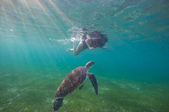 Tour to swim with turtles - Good Weather Matters More Than You Think