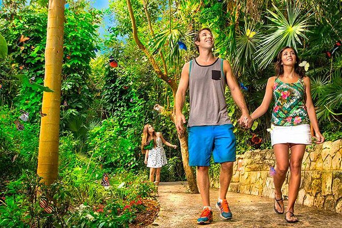 Tour Xcaret All Inclusive from Playa del Carmen - Included Transportation - Xcaret day trip from Playa del Carmen: what makes it easy