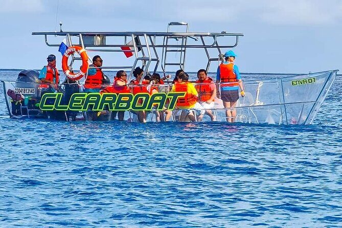 Transparent Boating and Snorkeling Tour in Cozumel All Inclusive - Marine Life You’ll Actually Try to Spot