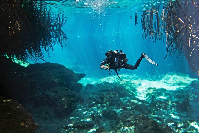 Try dive in beautiful Casa cenote for 2 people - Casa Cenote: open, shallow, and made for first-timers
