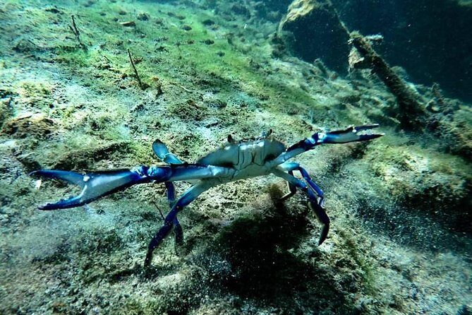 Try dive in beautiful Casa cenote for 2 people - The day’s flow: shallow skills, then a short underwater excursion