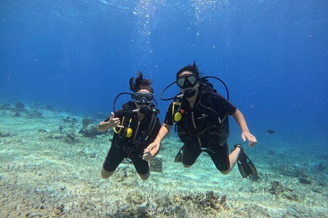 Try diving without previous experience from shore - First-Time Scuba From Cozumel Shore: What You’re Doing
