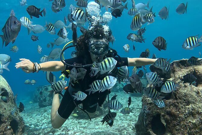 Try diving without previous experience from shore - Instructor Care, Safety Habits, and the 12-Meter Ceiling