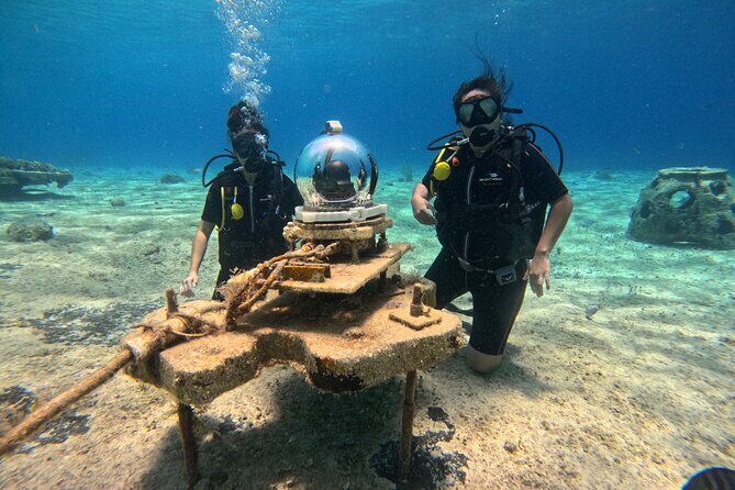 Try diving without previous experience from shore - What You’ll See Underwater (So You Know What to Look For)