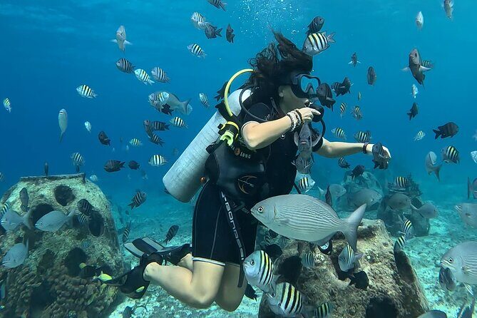 Try diving without previous experience from shore - Jacques Cousteau Underwater Museum and the Coral Reconstruction Area