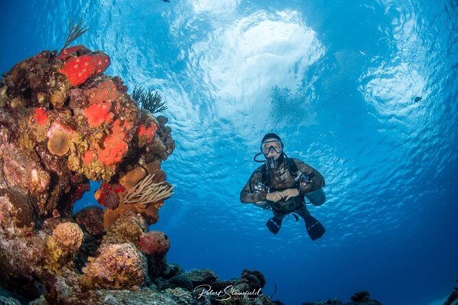 Try Scuba Diving - No previous experience! - Gear and snacks included: fewer decisions, less stress