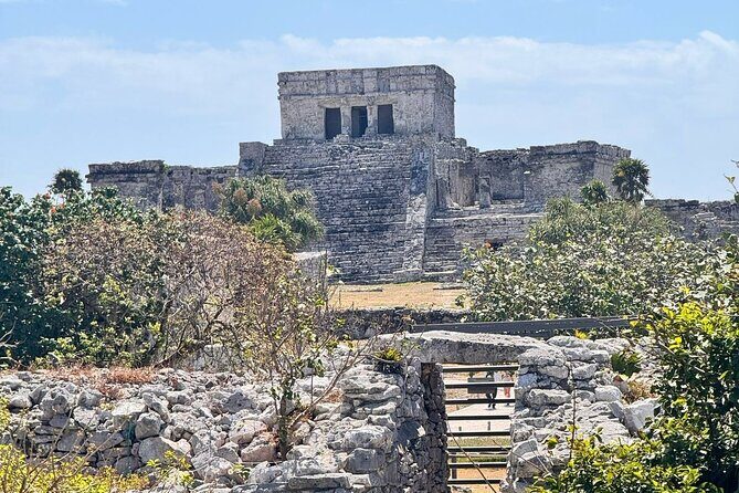 Tulum + 2 Cenotes & Authentic Taco Adventure - Key highlights at a glance