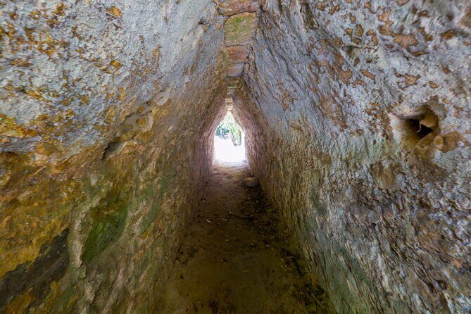 TULUM 4x1: Archaeological Zone, COBA, Cenote, 5th Avenue and lunch. - Guide support and what you should expect on the ground