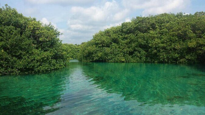 Tulum Area Experiences Guided 2 Tank Scuba Dive Casa Cenote & Barrier Reef-Lunch - Getting To Tulum’s Meeting Point and How the Day Actually Starts