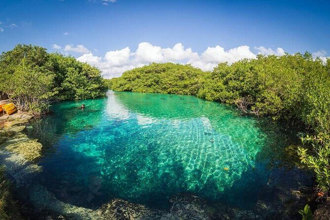 Tulum Area Experiences Guided 2 Tank Scuba Dive Casa Cenote & Barrier Reef-Lunch - Who This Is Best For (And Who Might Want to Compare)