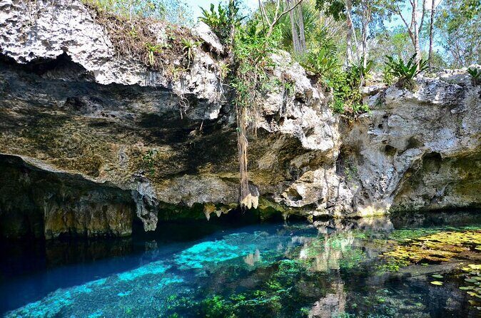 Tulum Area Experiences Guided E-Bike Tour- 3 Cenote's Snorkel/Swim & Local Lunch - Key points at a glance