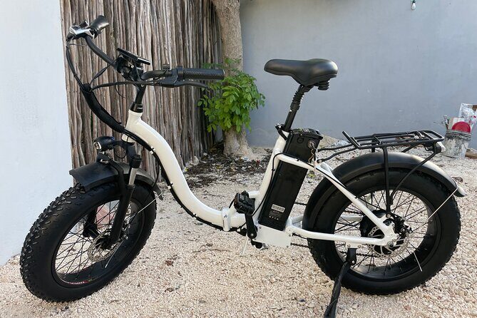 Tulum Area Experiences Guided E-Bike Tour- 3 Cenote's Snorkel/Swim & Local Lunch - What’s included (and what you should plan for)
