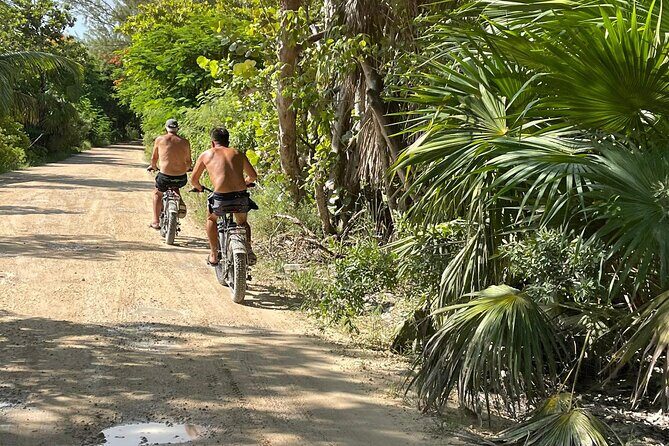 Tulum Area Experiences Guided E-Bike Tour- 3 Cenote's Snorkel/Swim & Local Lunch - Price and value: is $194.95 a fair deal for three cenotes?
