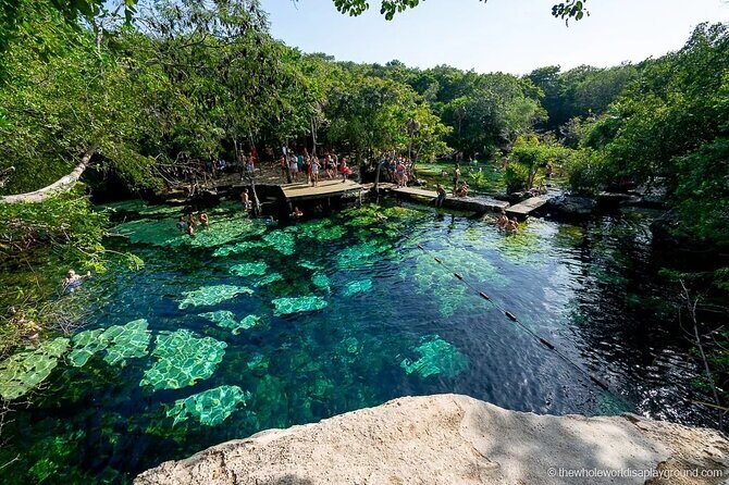 Tulum Area Experiences Guided E-Bike Tour- 3 Cenote's Snorkel/Swim & Local Lunch - Group size and guide style: why the max 15 matters