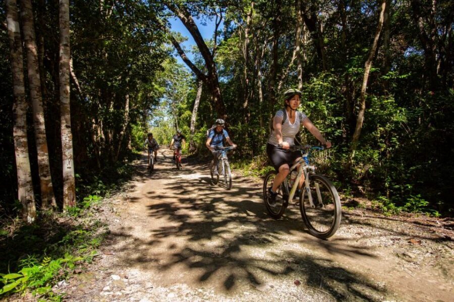 Tulum: Cenote Trail Bike Tour - Guides, language support, and why small groups matter