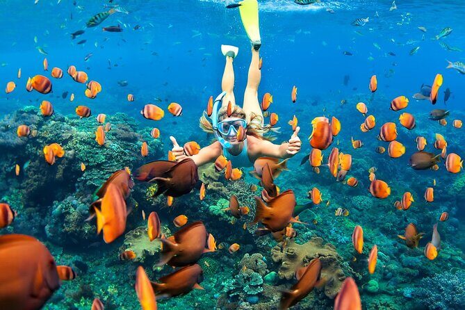 Tulum Day Trip: Pyramids + Reef Snorkel & Cenote Swim - Cenotes Labnaha & Eco Park: A Calm Swim in a Freshwater Cave