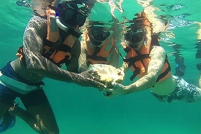 Tulum Day Trip: Pyramids + Reef Snorkel & Cenote Swim - What to Bring (and What to Do Before You Burn)